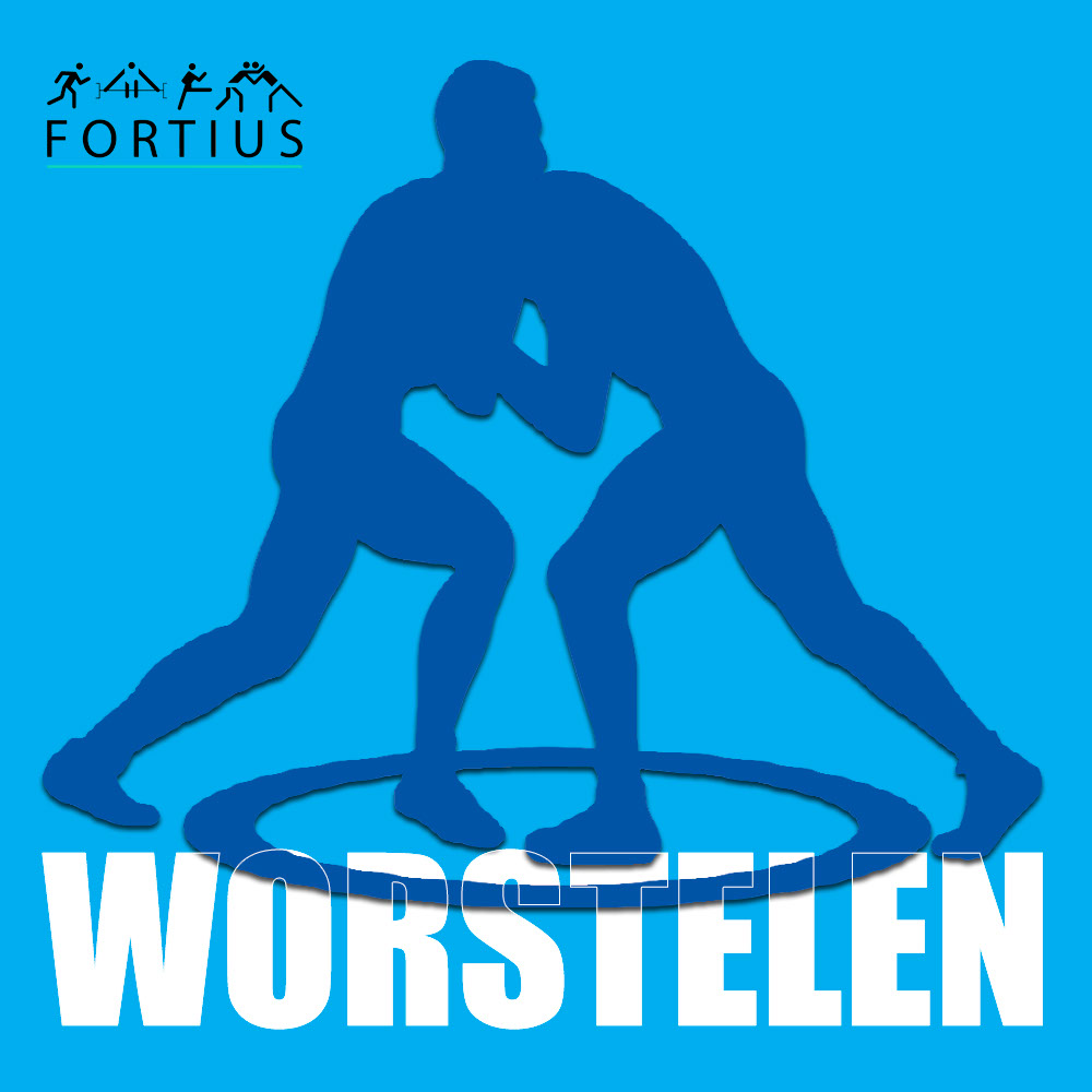 WORSTELEN (12-19 jaar) per kwartaal